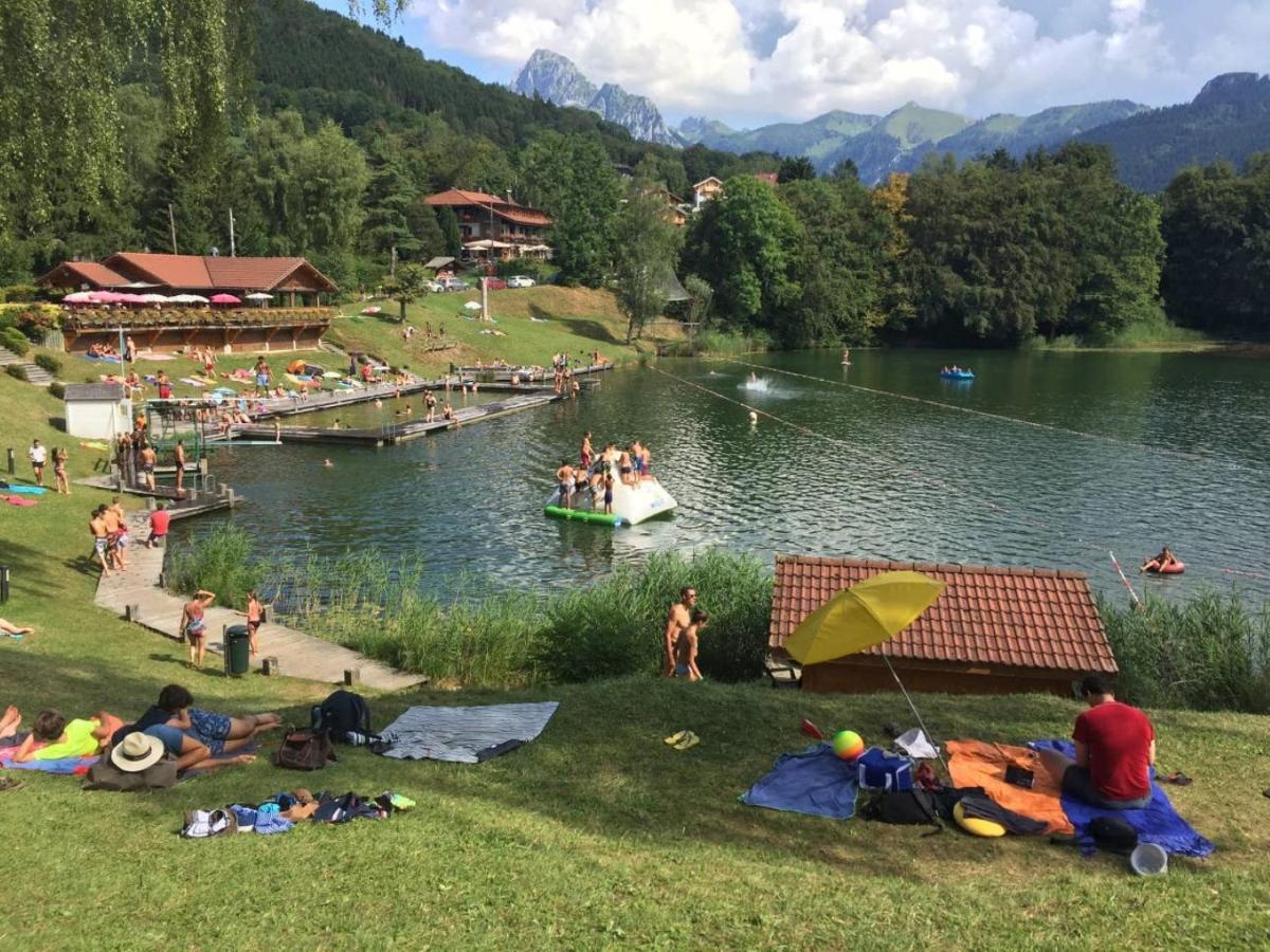 Le 67,Ski Et Randonnee,Lave Linge,Seche Linge,Parking Bernex Exterior photo