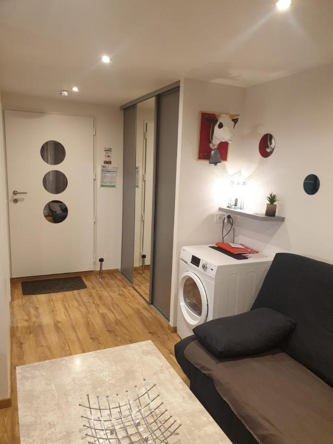Le 67,Ski Et Randonnee,Lave Linge,Seche Linge,Parking Bernex Exterior photo